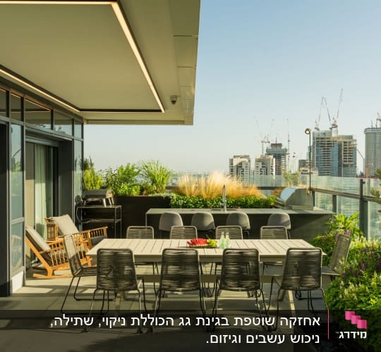 צמחים ירוקים ופרחים במרפסת גג
